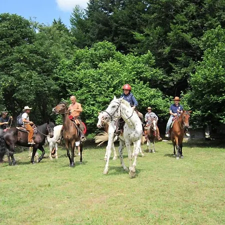 Agroturismo Oddone Bardineto